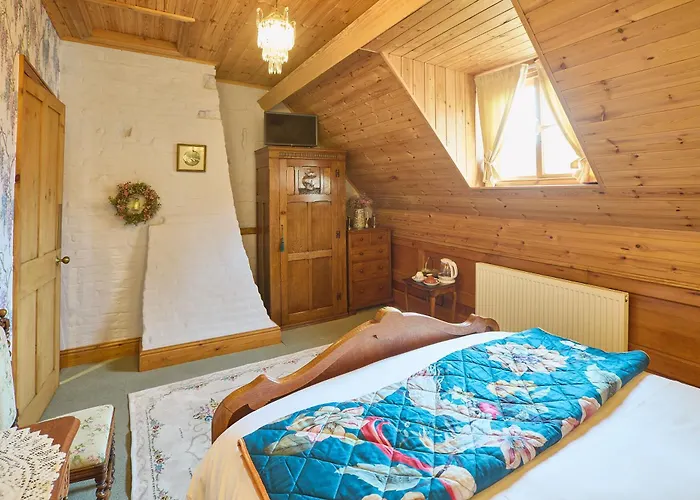 別荘 Host & - The Spirit *