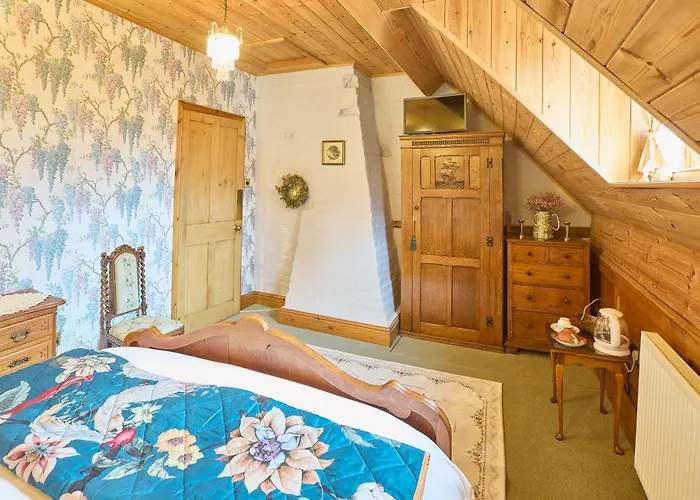 別荘 Host & - The Spirit *